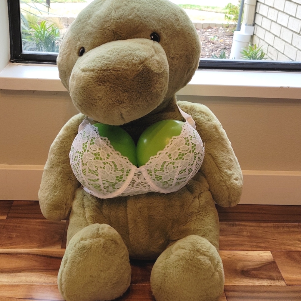 DKNY Lace 4 Bra Bundle